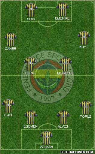 Fenerbahçe SK Formation 2013