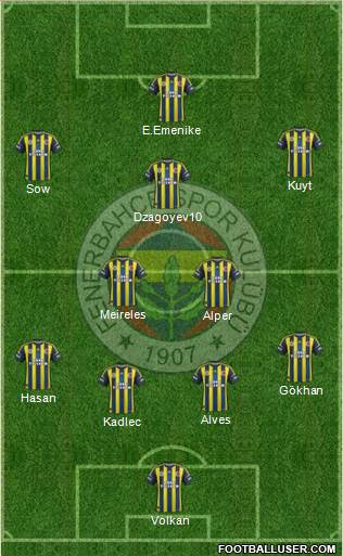 Fenerbahçe SK Formation 2013