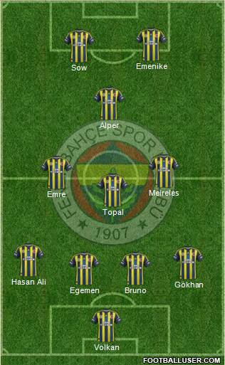 Fenerbahçe SK Formation 2013