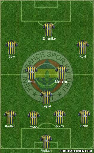 Fenerbahçe SK Formation 2013