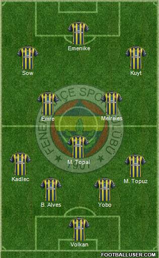 Fenerbahçe SK Formation 2013