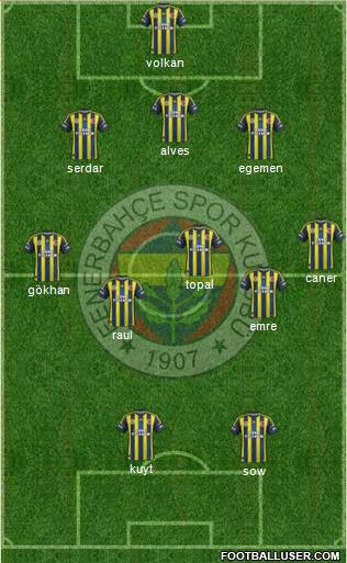 Fenerbahçe SK Formation 2013