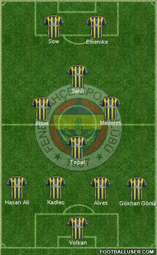 Fenerbahçe SK Formation 2013