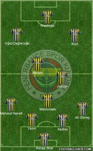 Fenerbahçe SK Formation 2013