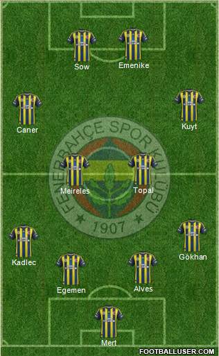 Fenerbahçe SK Formation 2013