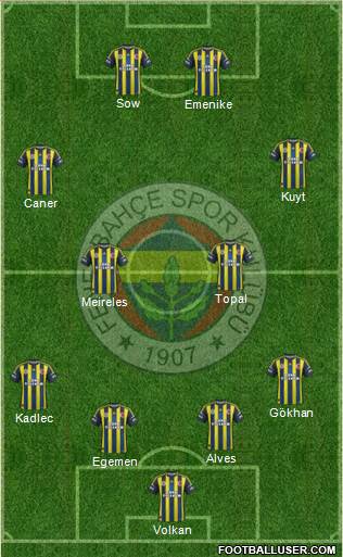 Fenerbahçe SK Formation 2013