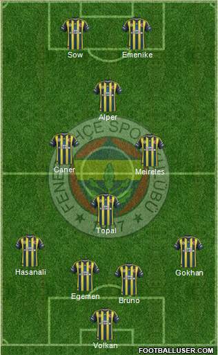 Fenerbahçe SK Formation 2013