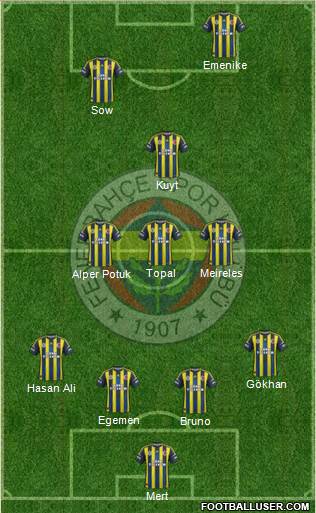 Fenerbahçe SK Formation 2013