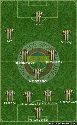 Fenerbahçe SK Formation 2013