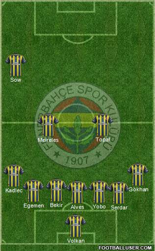 Fenerbahçe SK Formation 2013