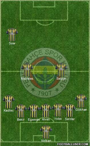 Fenerbahçe SK Formation 2013