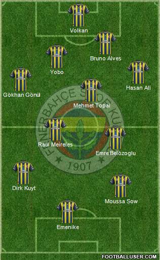 Fenerbahçe SK Formation 2013