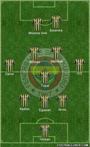 Fenerbahçe SK Formation 2013