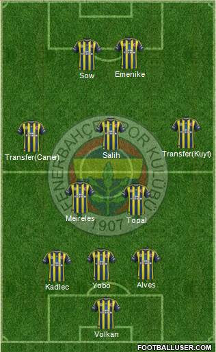 Fenerbahçe SK Formation 2013