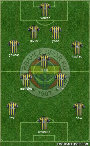 Fenerbahçe SK Formation 2013