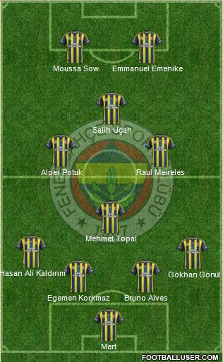 Fenerbahçe SK Formation 2013