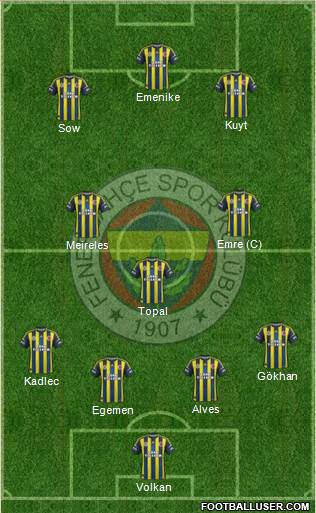 Fenerbahçe SK Formation 2013