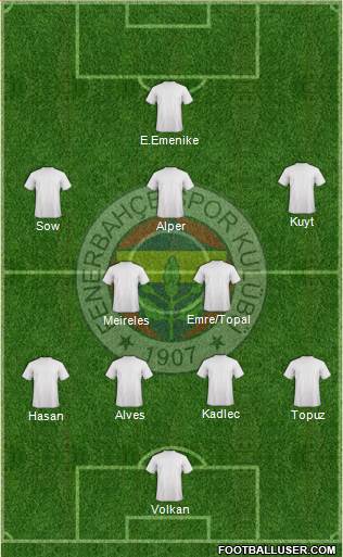 Fenerbahçe SK Formation 2013