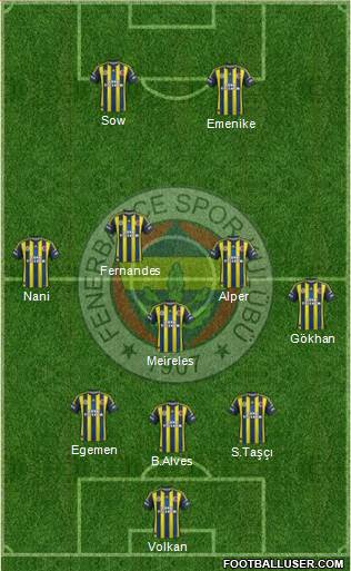 Fenerbahçe SK Formation 2013