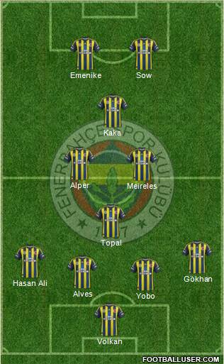 Fenerbahçe SK Formation 2013