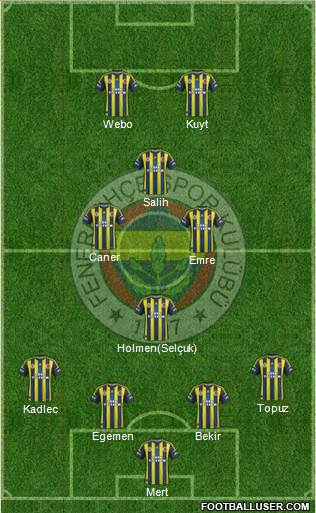 Fenerbahçe SK Formation 2013