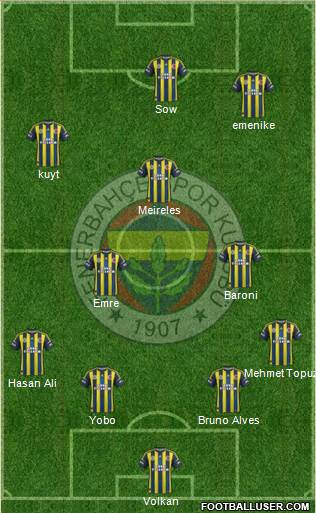 Fenerbahçe SK Formation 2013