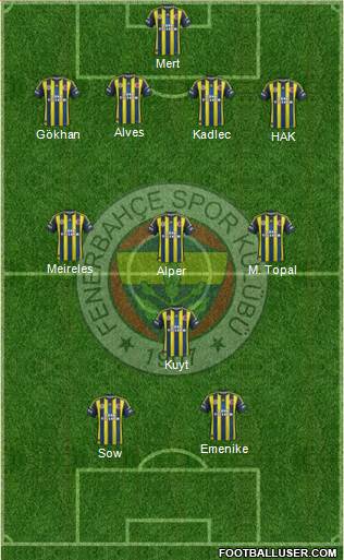 Fenerbahçe SK Formation 2013