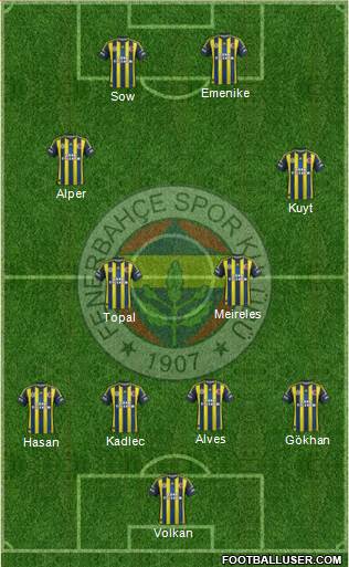 Fenerbahçe SK Formation 2013