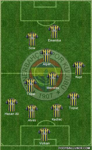 Fenerbahçe SK Formation 2013