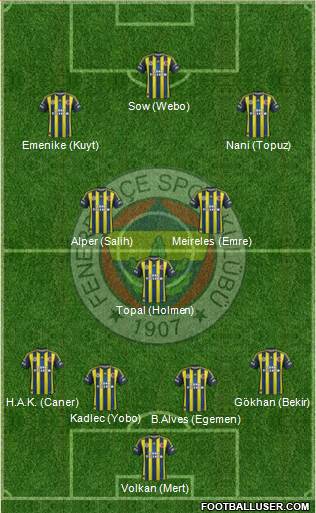 Fenerbahçe SK Formation 2013