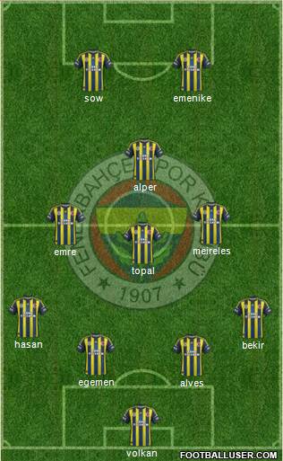 Fenerbahçe SK Formation 2013