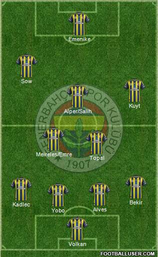 Fenerbahçe SK Formation 2013