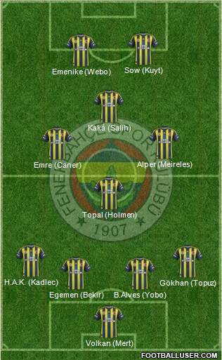 Fenerbahçe SK Formation 2013