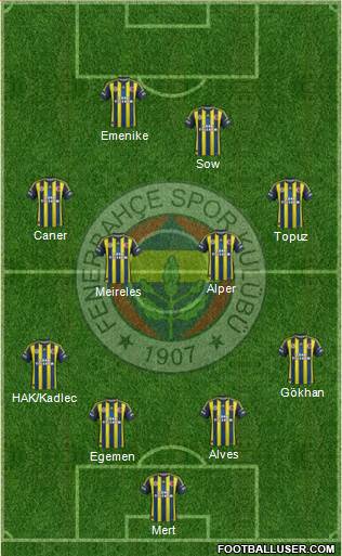 Fenerbahçe SK Formation 2013