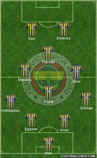 Fenerbahçe SK Formation 2013