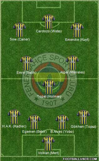 Fenerbahçe SK Formation 2013