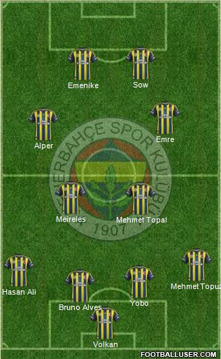 Fenerbahçe SK Formation 2013