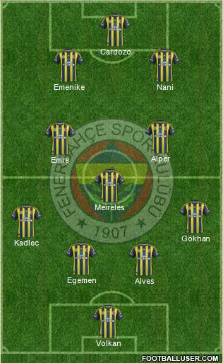 Fenerbahçe SK Formation 2013