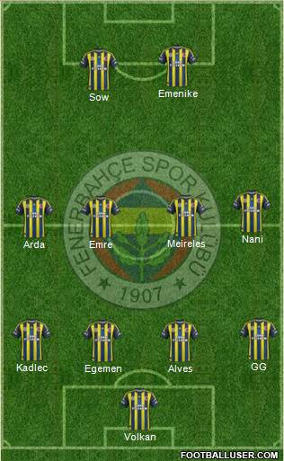 Fenerbahçe SK Formation 2013