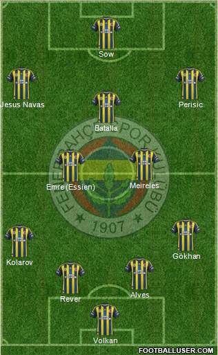 Fenerbahçe SK Formation 2013