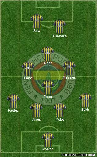 Fenerbahçe SK Formation 2013