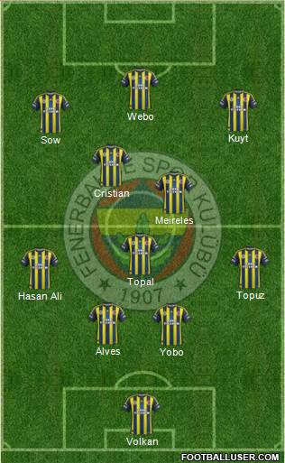 Fenerbahçe SK Formation 2013