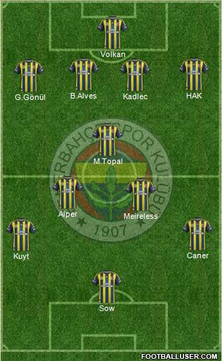 Fenerbahçe SK Formation 2013