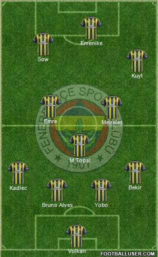 Fenerbahçe SK Formation 2013