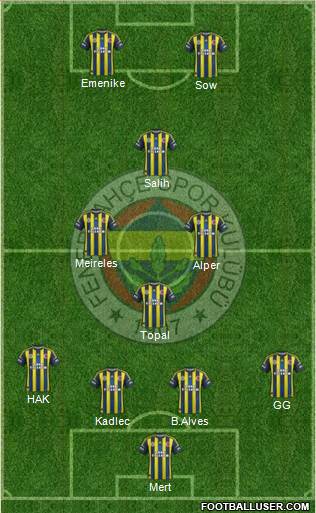 Fenerbahçe SK Formation 2013