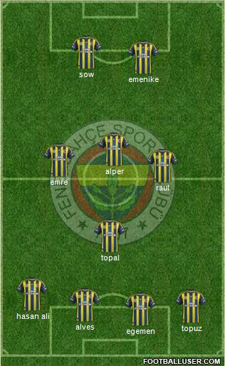 Fenerbahçe SK Formation 2013