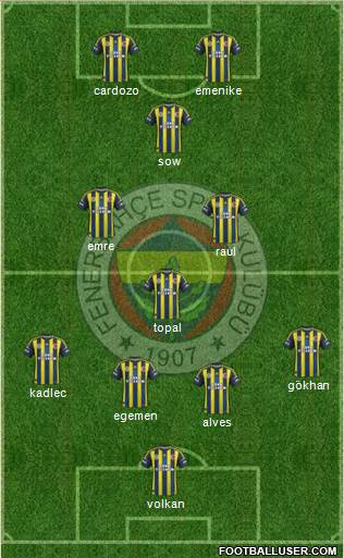 Fenerbahçe SK Formation 2013