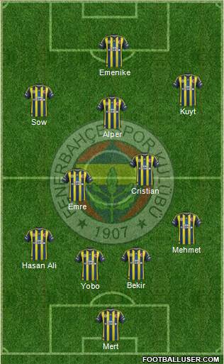 Fenerbahçe SK Formation 2013