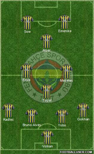 Fenerbahçe SK Formation 2013