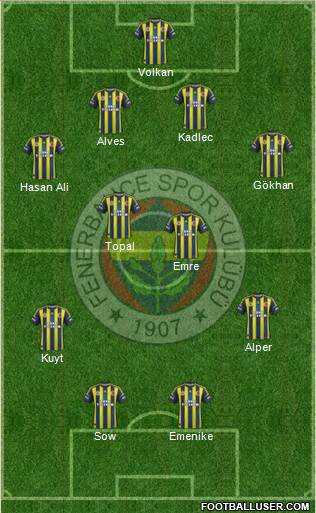 Fenerbahçe SK Formation 2013